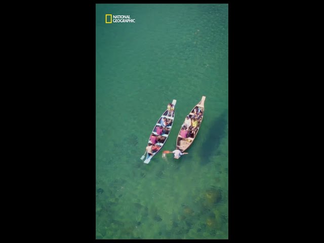 A Shillong Odyssey | Postcards from Meghalaya | Premieres 8 June 8: 30 PM | National Geographic
