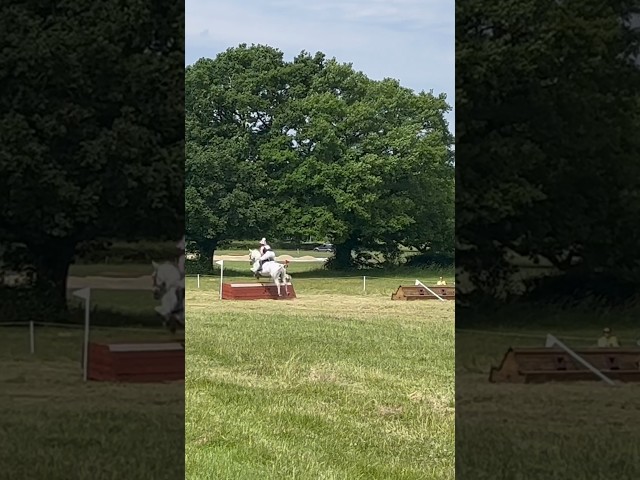 FLYING TO NO3 ✈️ Vlog will go live Wednesday 6pm #eventing #horseshorts #crosscountry #equestrian