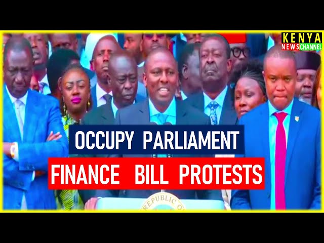 Ruto & Kenya Kwanza MPs react to Occupy Parliament Protests on Finance Bill