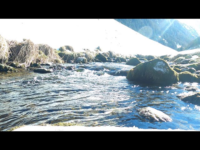 #Klang der Natur #Naturgeräusche #Bachrauschen #Wasser #Natur #Tirol