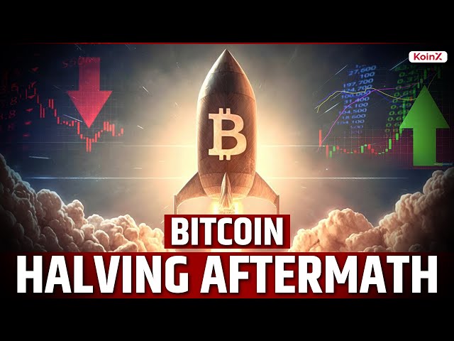 Bitcoin Halving Reality | What Will Happen Now