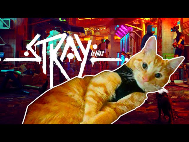 This is the BEST Cat Game EVER! (Stray)