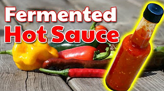 Fermented Hot Sauce 🌶🌶🌶