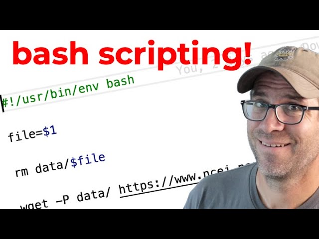 How to write a bash script for your reproducible data analysis pipeline (CC247)