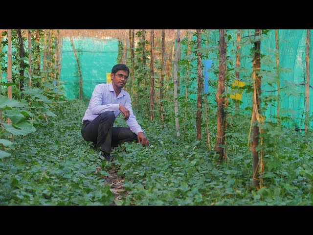 How can a small farmer earn Rs 15 lakh from multilayer farming?