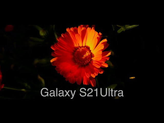 Galaxy S21 Ultra Cinematic HDR10+