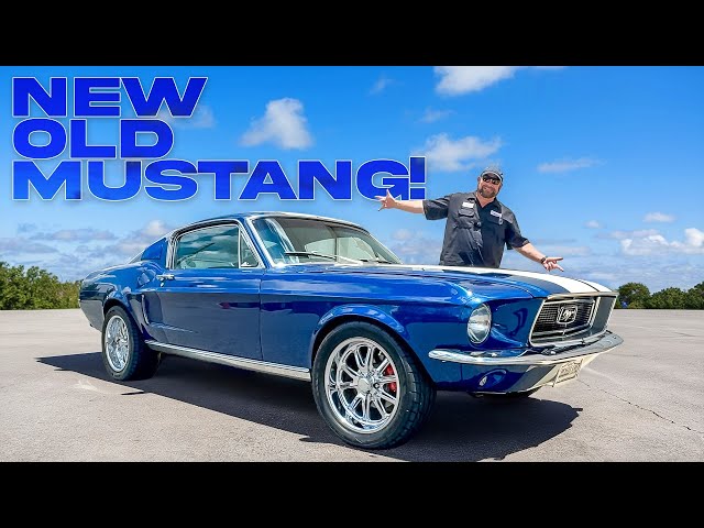This Ford Mustang Is Hiding Some Big Secrets!