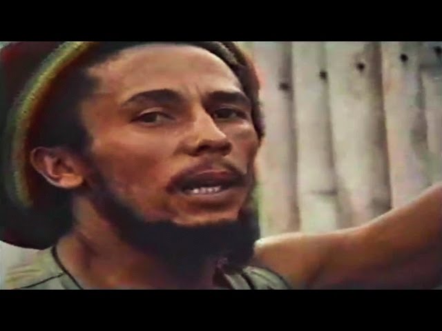 Bob Marley - "Anti Establishment" Interview - 1979