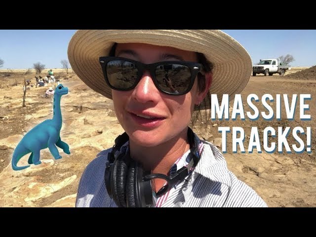 Giant dinosaur footprints saved in Queensland, Australia | Chasing dinosaurs