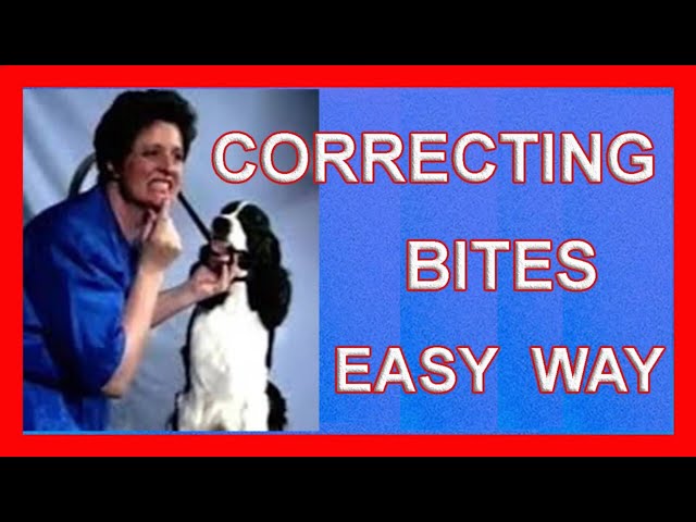 CORRECTING BITES - The Easy Way  + USING 1 2 ON THE NOSE remastered 2024