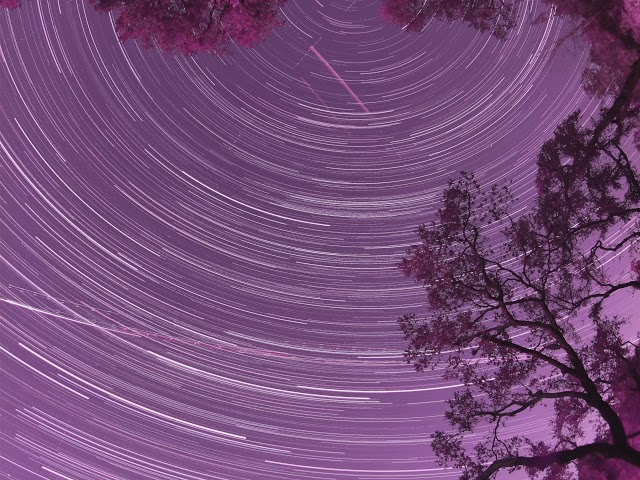 Pi in the Night Time Sky (PiNTS) Star Trails 2021-02-05