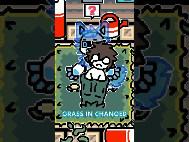 Changed Special Edition GRASS TRANSFUR