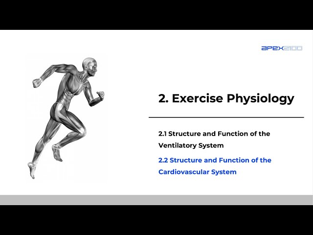 SEHS 2.2 Structure and Function of the Cardiovascular System