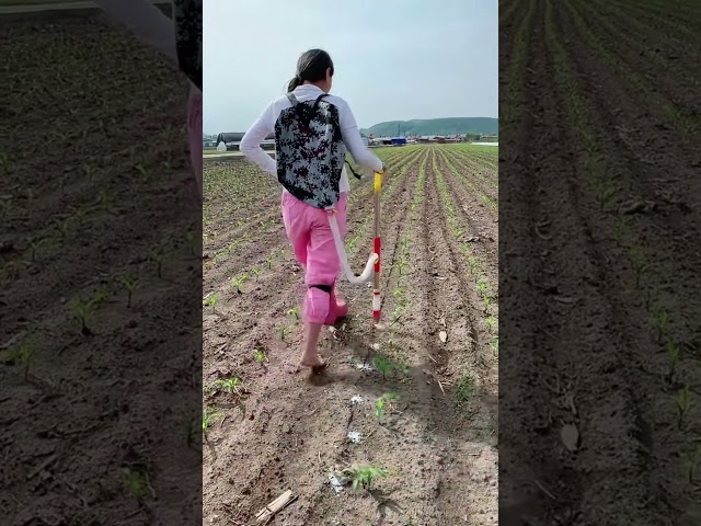 Modern agriculture #shorts #satisfying