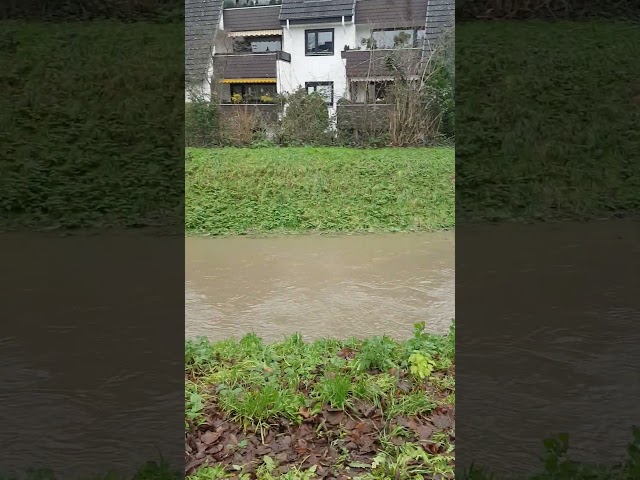 Hildesheim Wasserstand Kupferstrang Richtung Phönixgelände am 24.12.2023