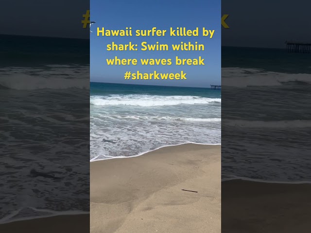Hawaii surfer killed by shark: Swim before where waves crash - #sharkweek