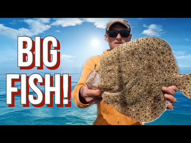 Turbot Fishing UK: Turbot and Brill Fishing in the Channel Islands!