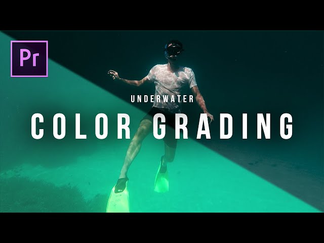 Editing Underwater Footage - FAST Color Grade in Premiere Pro