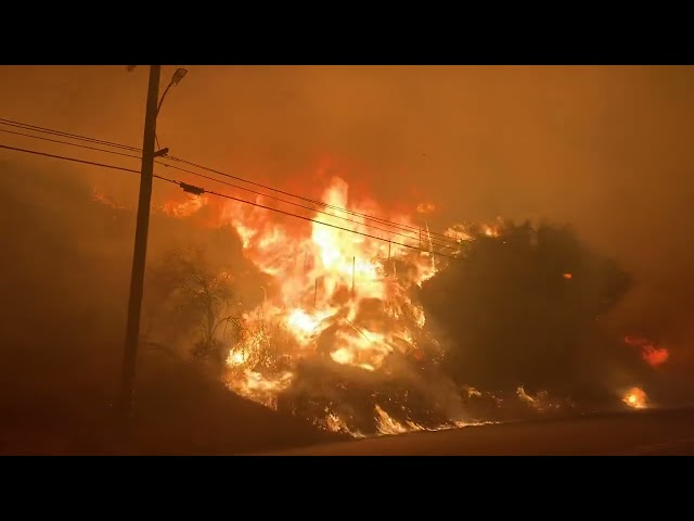 Wildland fire in California
