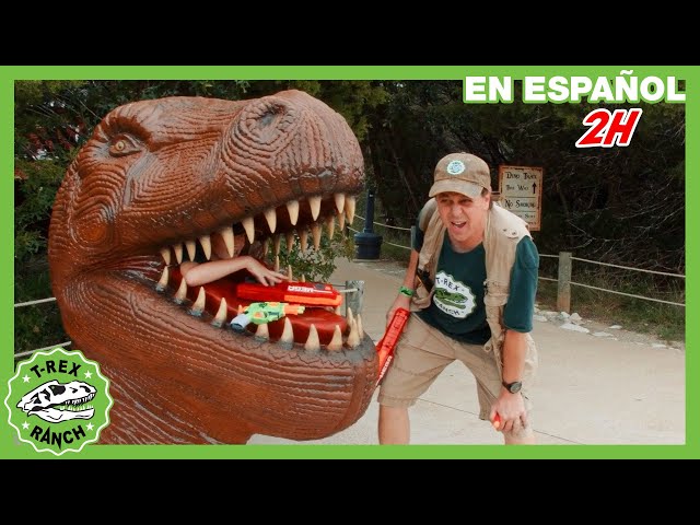 Museo de dinosaurios  🏛️🦖 | Videos de dinosaurios y juguetes para niños