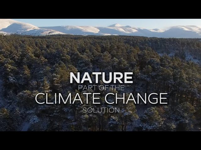 How is nature helping to fight climate change in Scotland?