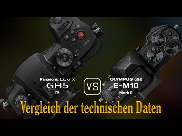 Panasonic Lumix GH5S vs. Olympus OM-D E-M10 Mark III: Ein Vergleich der technischen Daten