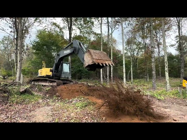 Mega Excavator vs. Stubborn Stumps