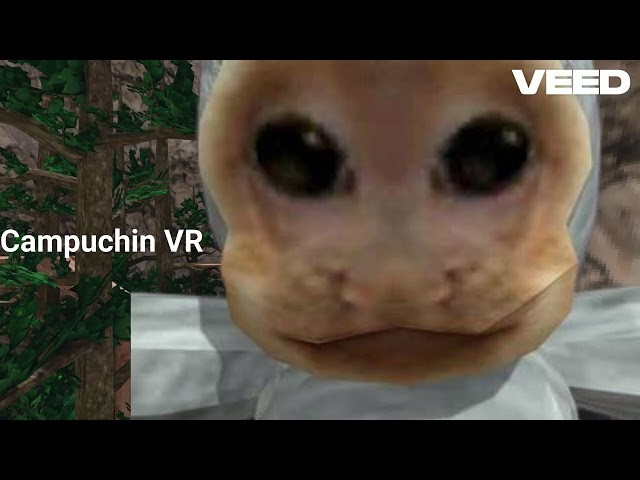 Capuchin VR
