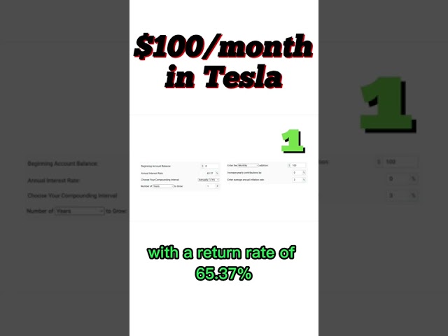 65% Return on Tesla - Investing $100 per month into Tesla part2 #stocks #investing