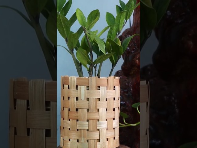 Trendy Bamboo planter #diy #planter #plants #homedecor #decor #diyhomedecor #planterideas