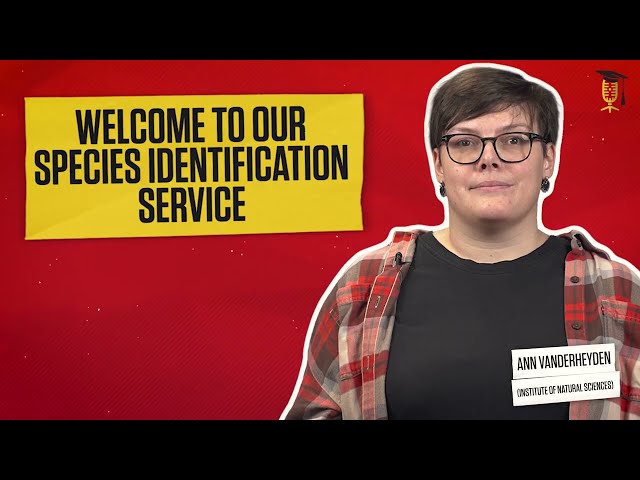 Welcome to our Species Identification Service