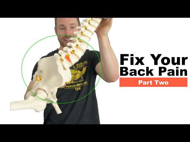 Fix Your Back Pain (Part 2: Movement Assessment)