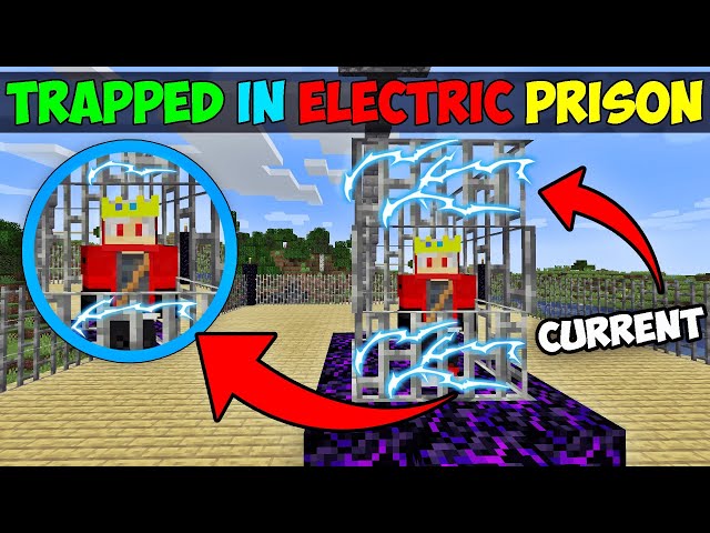 My friends Trapped me in Electric Prison, So I Took 1000 IQ Revenge | Minecraft Hindi
