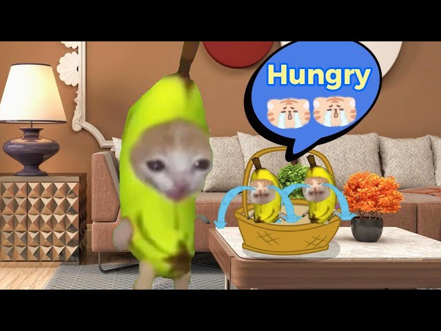 Banana Cat and Happy Cats 😺😺 The Best Videos from Day 1-10! (5 Minutes)