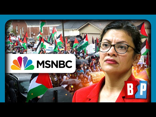 MSNBC FREAKS After Rashida Says DON'T Vote Biden