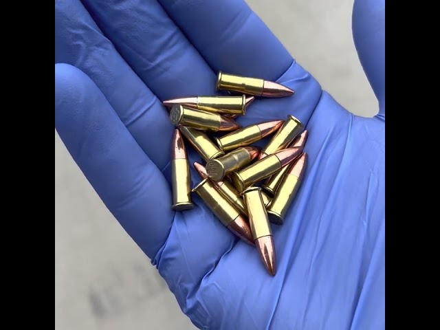 22 Caliber Dummy Rounds With New Bullet