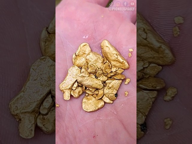 Diver Finds $3500 Of Gold Nuggets In Bedrock Crack!