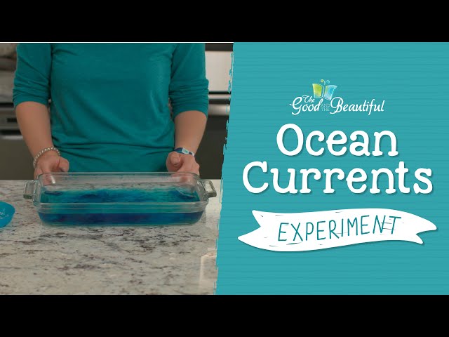 Ocean Currents Experiment | Marine Biology | The Good and the Beautiful