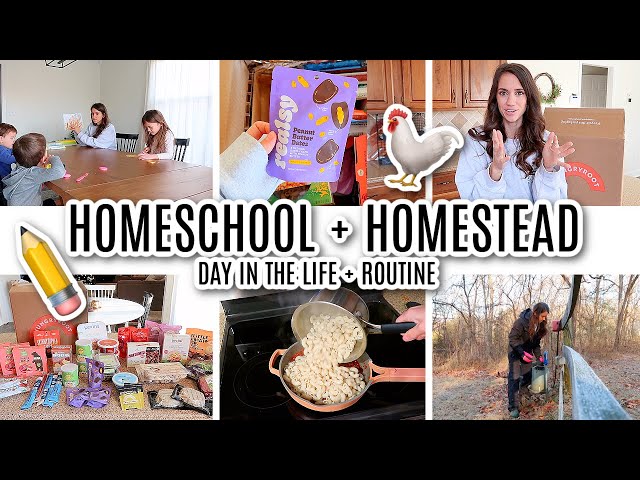 DAY IN THE LIFE OF A MOM OF 3 HOMESCHOOLING + HOMESTEADING // MORNING ROUTINE OF A MOM 2024
