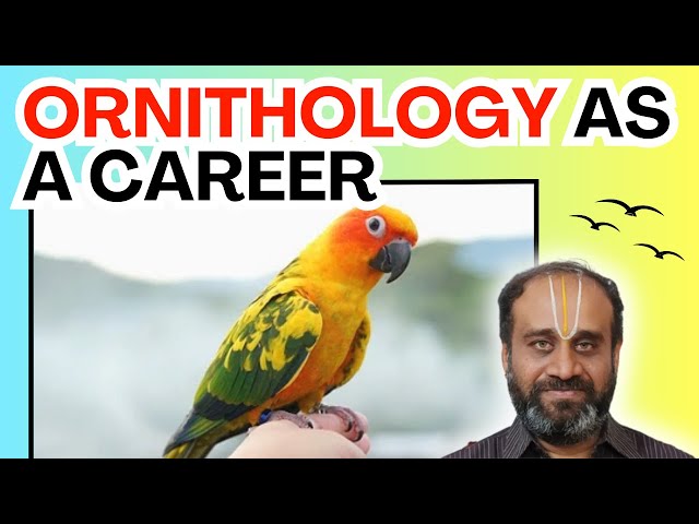 Ornithology as a Career