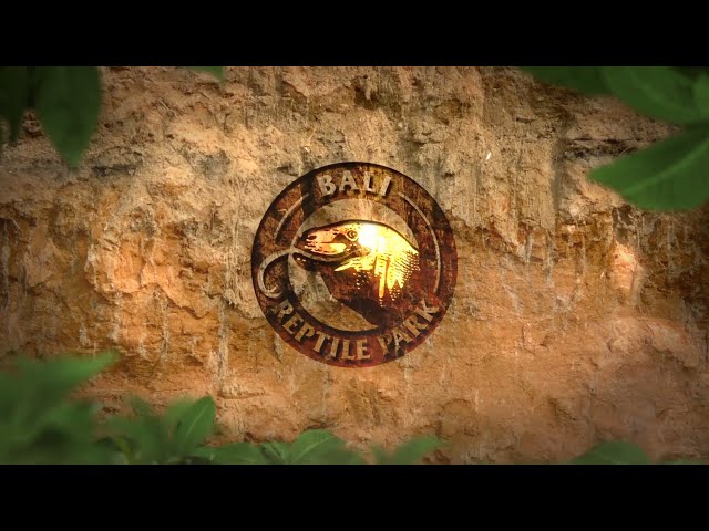 Bali Reptile Park ~ Where Hot and Cold-Blooded Meet
