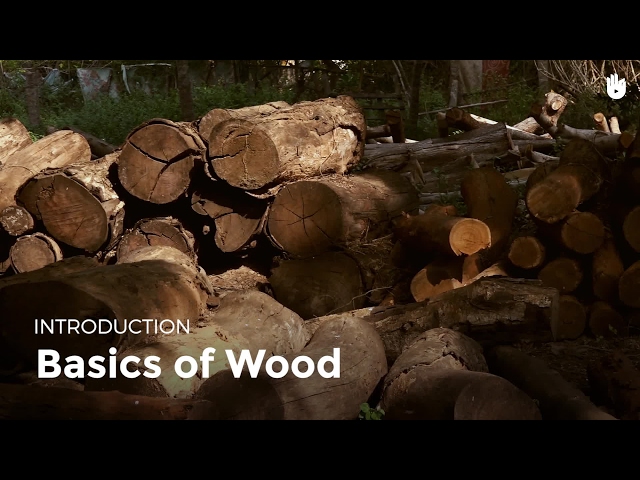 Basics of Wood | Woodworking