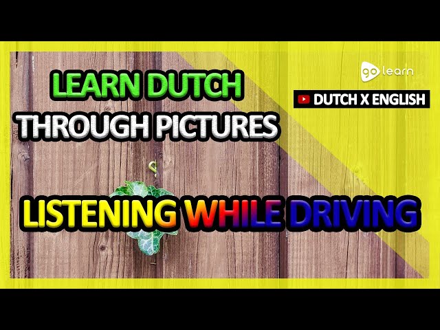 Learn Dutch Through Pictures |Dutch Vocabulary Listening While Driving | Golearn