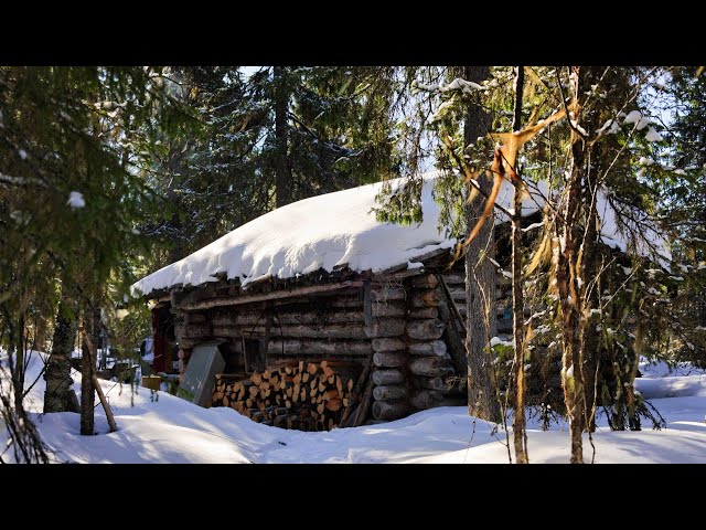 3 Days Living in Off Grid Log Cabin in the Woods