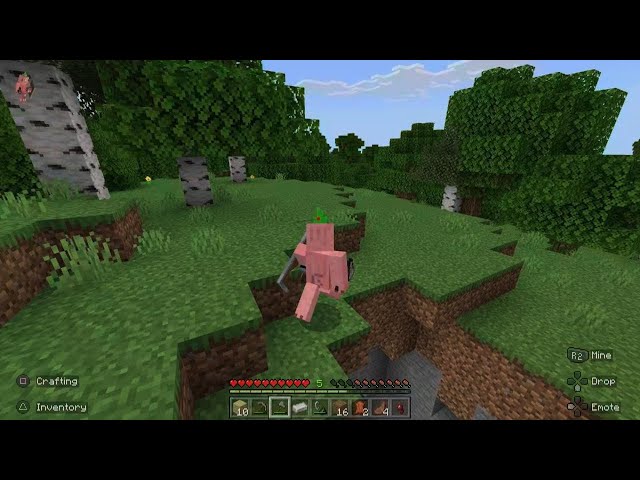 Minecraft did we find him? Minecraft lets play #9(classic series)