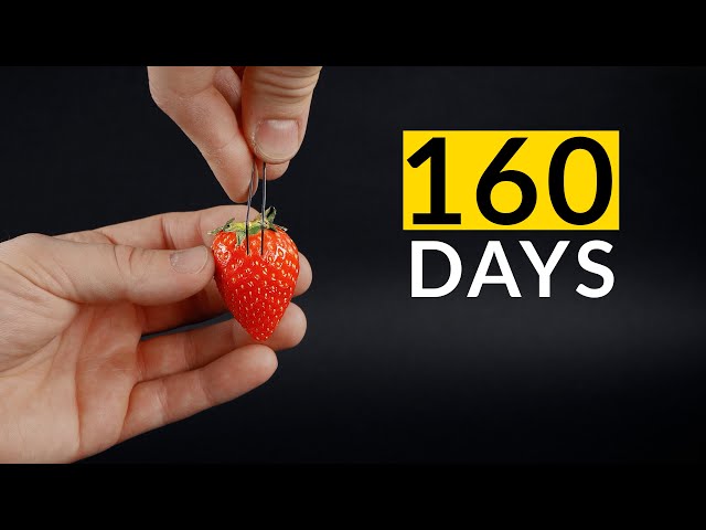 STRAWBERRY From Seed Time-lapse 160 Days