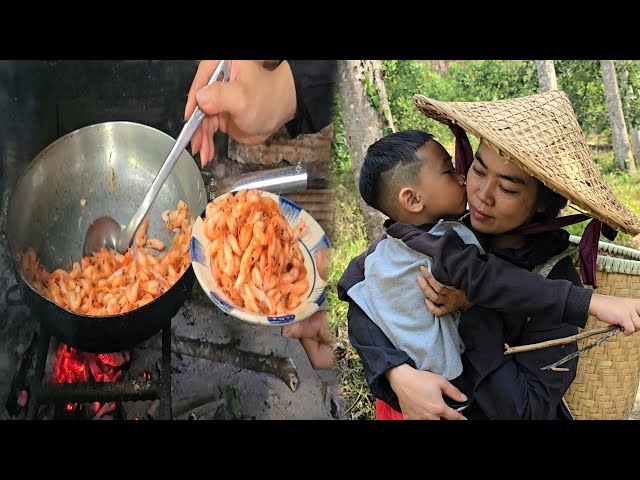 Single Mom Life: Catching Shrimp to Raise Son - Building a Wooden Home | Ly Phuc Huyen
