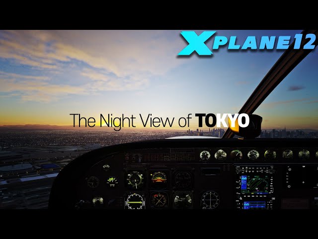 X-Plane 12, The Night View of TOKYO
