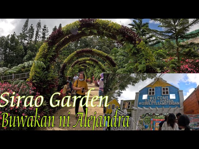 Buwakan ni Alejandra l Sirao Garden l Cebu Local Tourist Spot