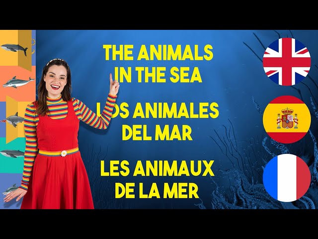 GUESS The Animals in the Sea 🐟 with Daisy Dot, Luli Pampín and Marie Toupie 🇬🇧🇪🇸🇫🇷